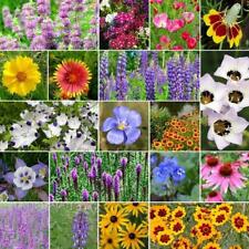 Wildflower mix north for sale  Sevierville