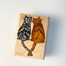 Affectionate cats loving for sale  Forest