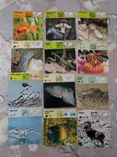 conoscere gli animali usato conoscere gli animali usato Dalmine