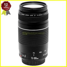Canon 300mm iii. usato  Busto Arsizio