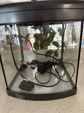 bow front fish tank for sale bow front fish tank for sale BURY