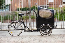 Cargo classic tricycle for sale  LONDON