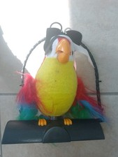 Talking parrot repeat for sale  FAREHAM
