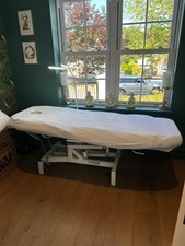 Professional carlton electric for sale  BANSTEAD