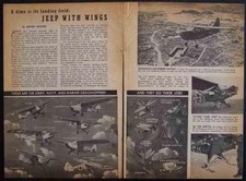 1945 grasshopper flying for sale  Diamond Point