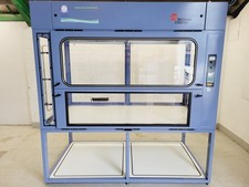 Bigneat large lab for sale  LOCKERBIE