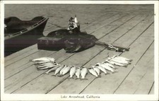 Lake arrowhead fishing for sale  South Portland