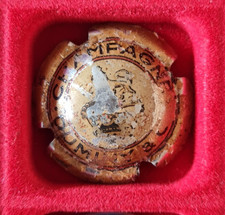 Capsule champagne duminy d'occasion  Fagnières