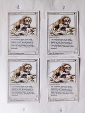 Mtg set leoni usato  Treviolo