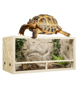 terrarium exo terra na sprzedaż terrarium exo terra na sprzedaż PL