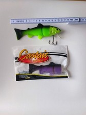 Castaic realbait 15cm gebraucht kaufen  Lahr