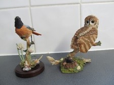Country artist redstart for sale  STOURBRIDGE