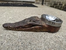Vintage taxidermy real for sale  Milwaukee
