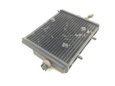 Radiatore acqua liquido usato  Viareggio