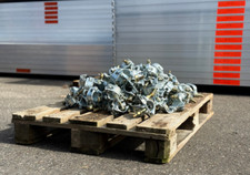 Normalkupplungen schellen ger� gebraucht kaufen Normalkupplungen schellen ger� gebraucht kaufen  Jettingen-Scheppach