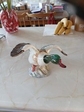 Beswick shelduck. model for sale  TOWCESTER