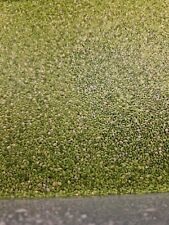 Fresh live duckweed for sale  PLYMOUTH