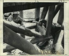 1969 press photo for sale  Memphis