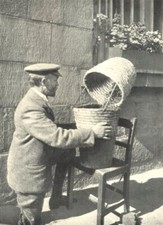 Bees bee keeping. for sale  LONDON