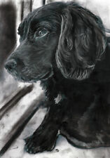 Cocker spaniel art for sale  NOTTINGHAM