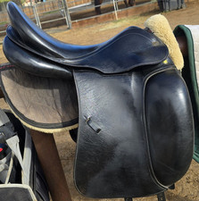 Prestige d2000 dressage for sale  San Marcos