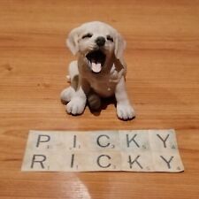 Golden labrador puppy for sale  SOUTHEND-ON-SEA