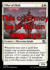Mtg tiller flesh usato  Bari