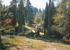 Picture postcard bedgebury for sale  NEWCASTLE UPON TYNE