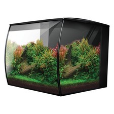 Fluval flex modernes gebraucht kaufen Fluval flex modernes gebraucht kaufen  Deutschland