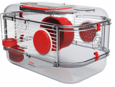 Gabbia rody mini usato  Tortorella