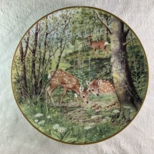 Fawns june meadow for sale  Vergas