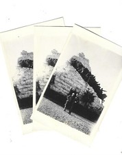 Castelfidardo ancona monumento usato  Jesi