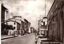 Querceta seravezza non usato  Italia