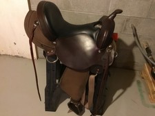 Circle high horse for sale  Wayland