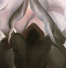 Georgia keeffe black for sale  Sahuarita
