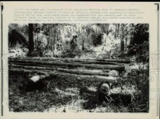 1967 Press Photo Uma plataforma em um acampamento vietcongue suspeito no Camboja comprar usado  Enviando para Brazil