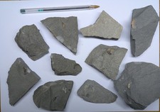 Unprepared ammonite fossils. for sale  AXMINSTER