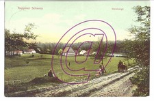 Steinberge neuruppin . gebraucht kaufen  Potsdam