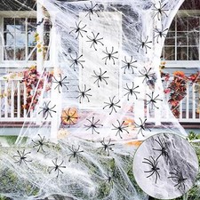 Spider web spiders for sale  HITCHIN