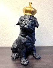 Royal black pug for sale  Hoyt