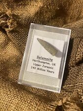 Belemnite fossil jurassic for sale  PRESTON