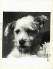 1990 press photo for sale  Memphis
