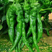 200pcs screw pepper for sale  Irvine