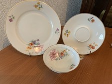 Sammeltassengedeck tlg bavaria gebraucht kaufen Sammeltassengedeck tlg bavaria gebraucht kaufen  Teltow