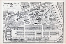 Paris jardin plantes d'occasion  Expédié en Belgium