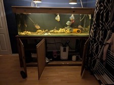 Closing massive 6x2x2ft for sale  PETERBOROUGH