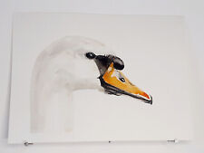 Tuberculated swan original d'occasion  Expédié en Belgium