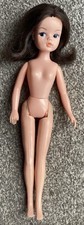 Sindy doll tlc for sale  CHESTERFIELD