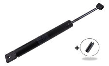 Stoßdämpfer peitz bpw gebraucht kaufen  Aachen