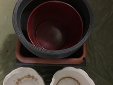 Grosse blumentöpfe gebraucht kaufen  Trochtelfingen